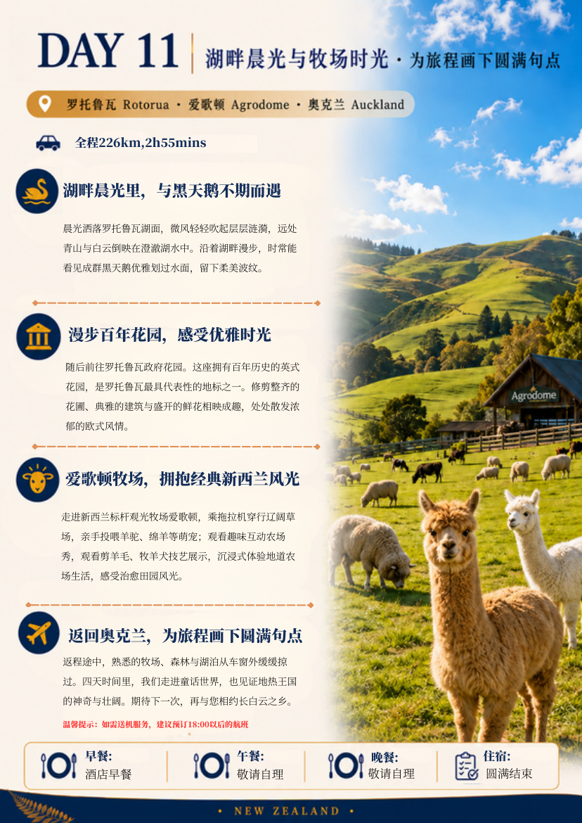 南北岛11天10晚探索 · 第14页
